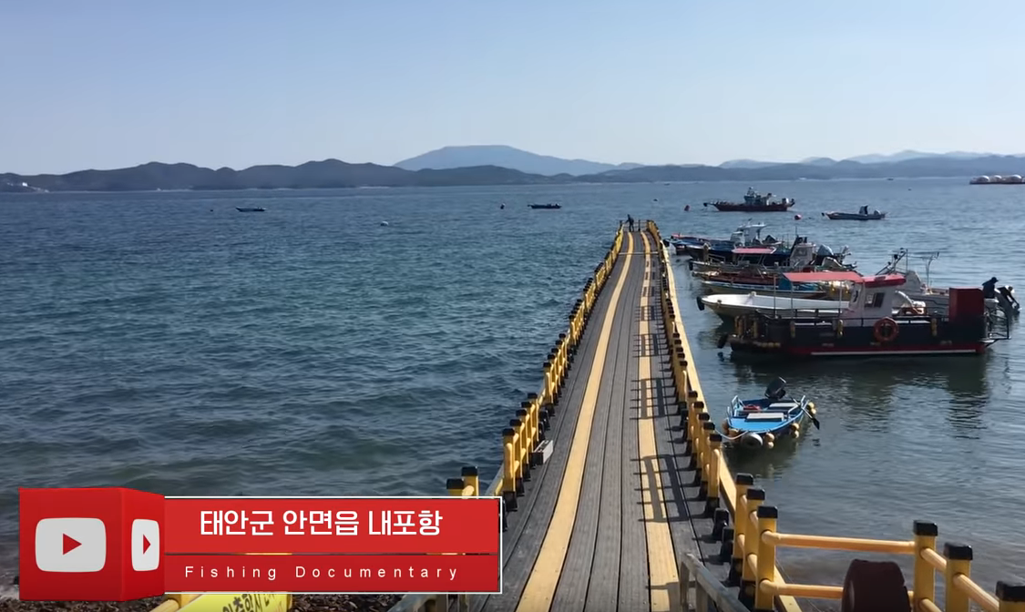 서해 워킹 쭈갑낚시, 초보자를 위한 신발짝 갑오징어, 쭈꾸미 포인트 공개 낚시조행기 | 모두의낚시 - 낚시정보공유서비스, 모낚