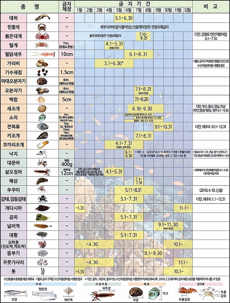 선상낚시 금어기 이미지